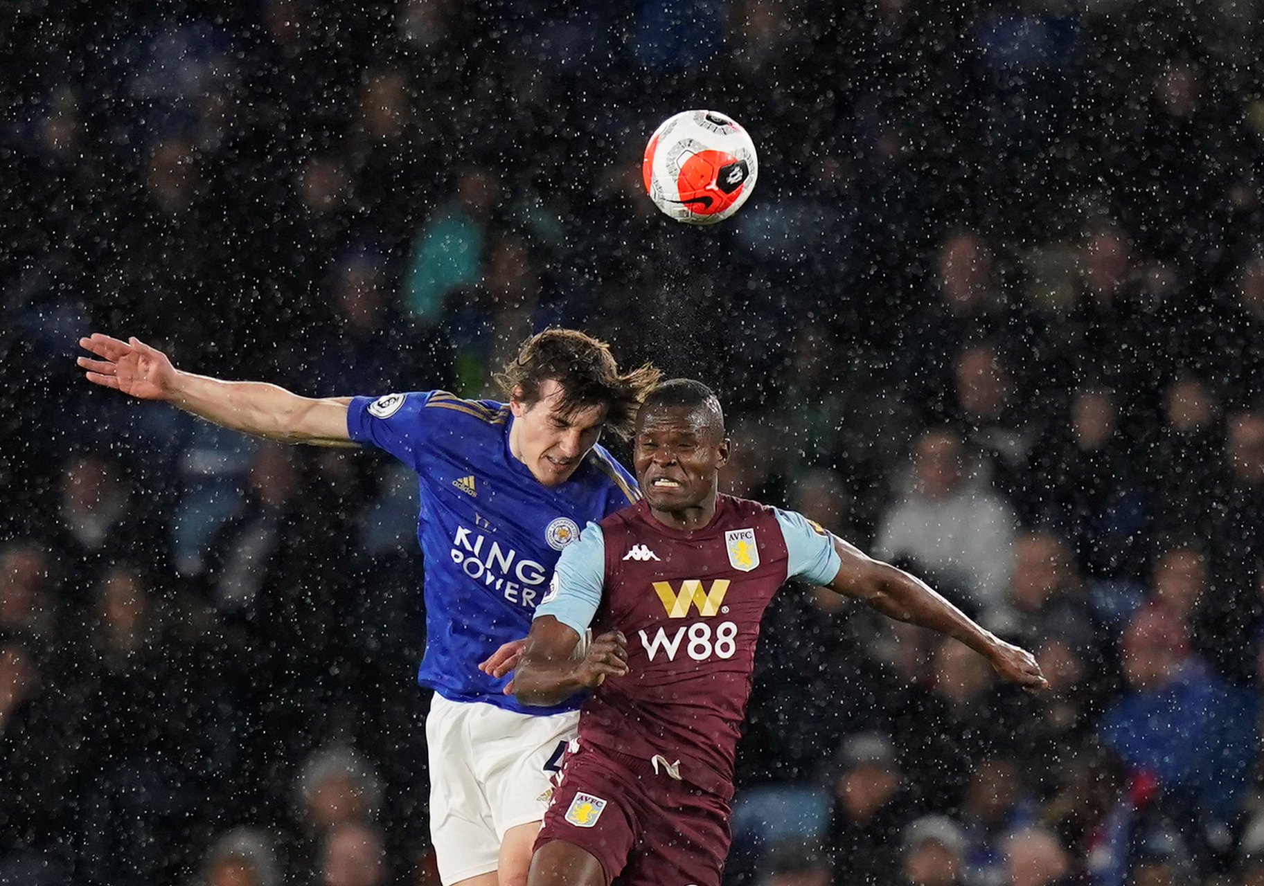 新的生机 新的生机